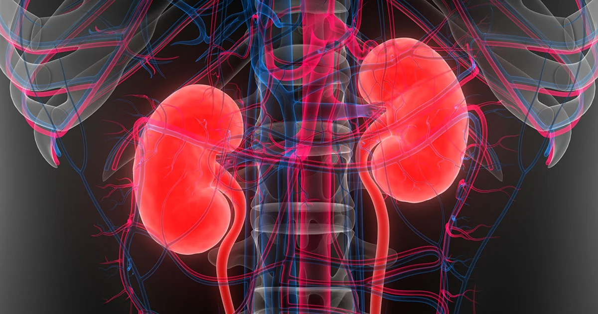 Frequent UTIs in Women May Signal Kidney Trouble