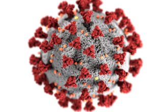 Detailed 3D representation of the coronavirus structure highlighting spike proteins.