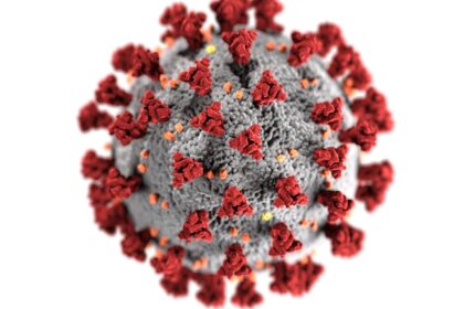 Detailed 3D representation of the coronavirus structure highlighting spike proteins.