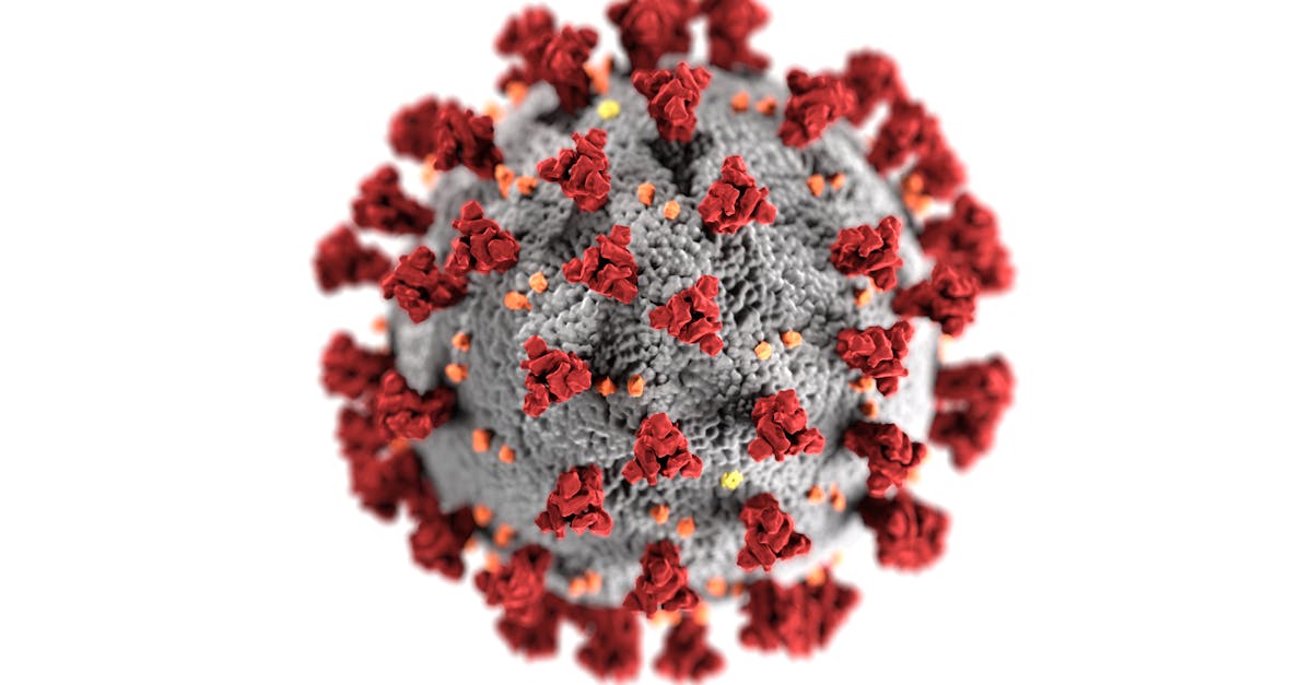 Detailed 3D representation of the coronavirus structure highlighting spike proteins.