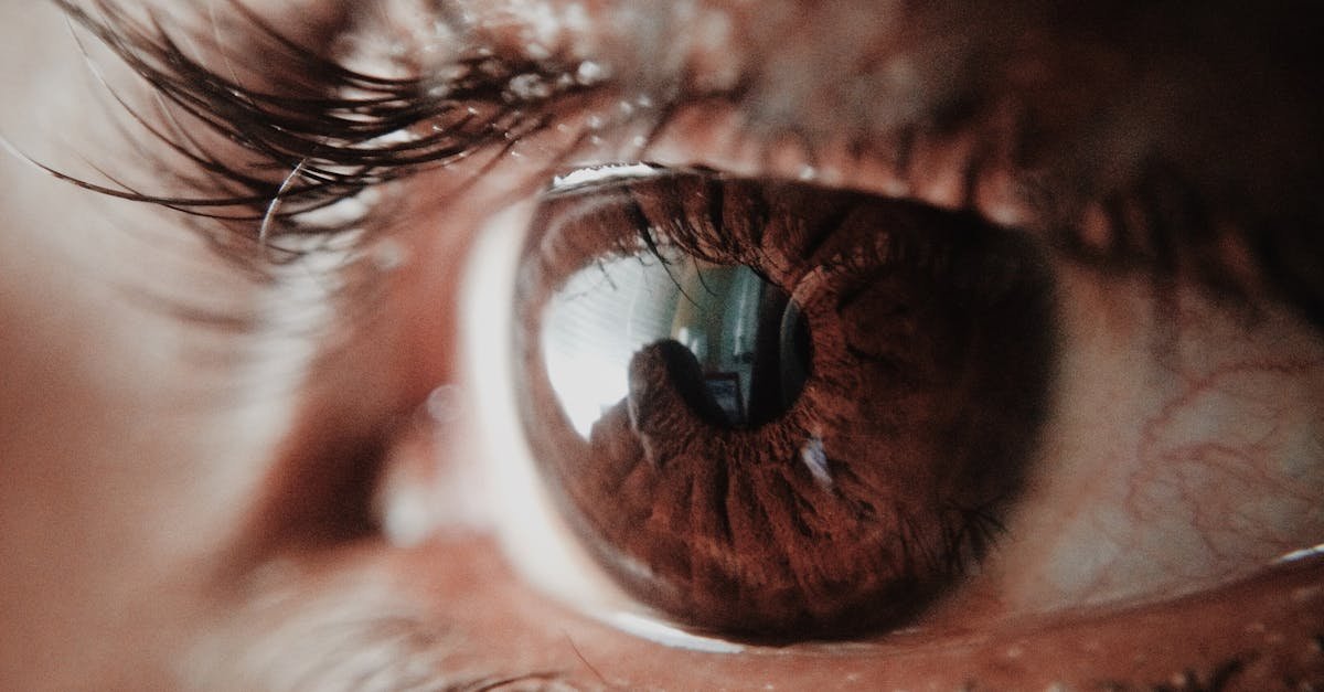 Detailed macro shot of a human eye capturing intricate details of the iris and reflections.