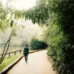 Free stock photo of active man, background greenery, misty