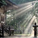 sun rays, nature, forest, koyasan temple, fog, sun beams, trees, japan