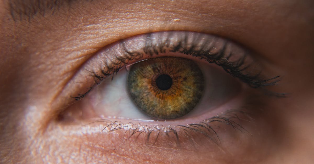 Macro shot revealing the intricate details and colors of a human eye.