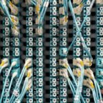 Close-up of a network patch panel with connected cables in a data center, showcasing organized cable management.